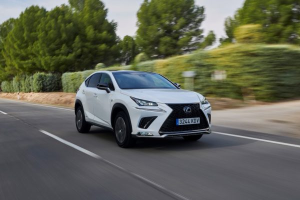 Lexus NX sport